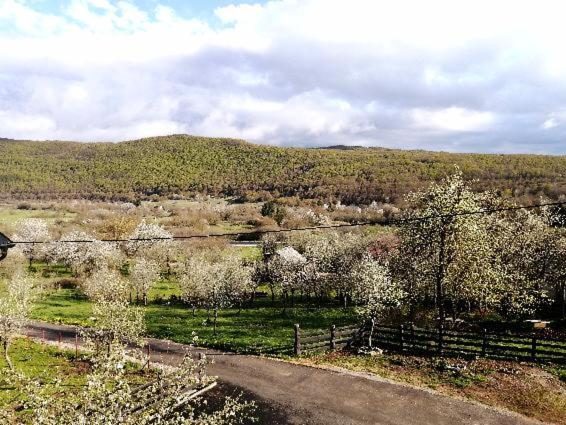 Farma & Apartmani II Opg Sasa Delic Grabusic Exteriör bild